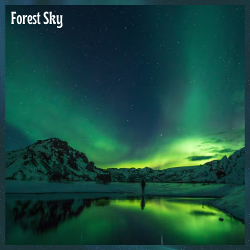 Forest Sky - Image 4